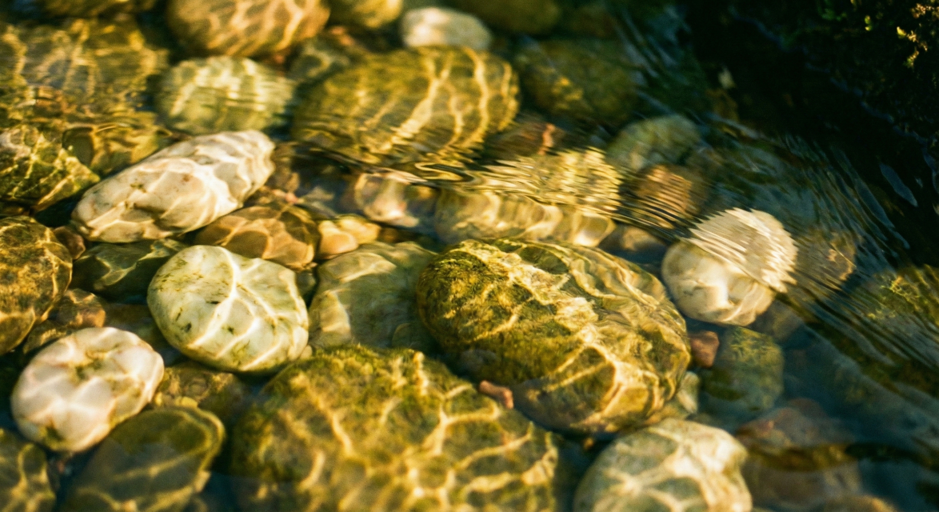 Why Willpower Doesn't Work, And What Does